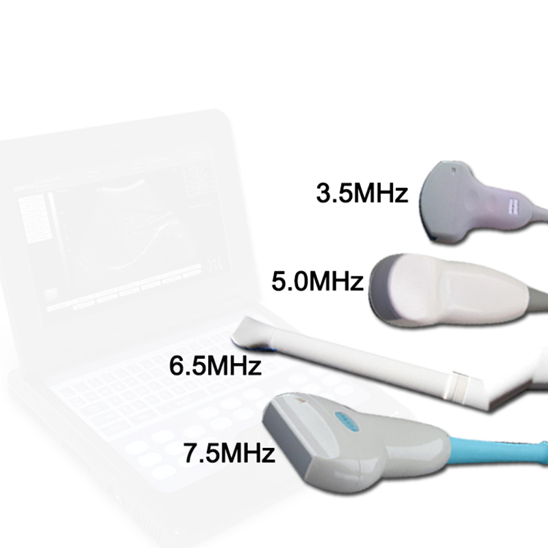 Sistem Diagnostik USG Hewan CMS600P2VET