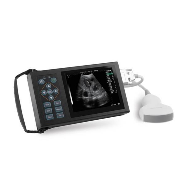 Instrumen Diagnostik Ultrasonik Digital Penuh Mesin Ultrasound Hewan CBV-A10