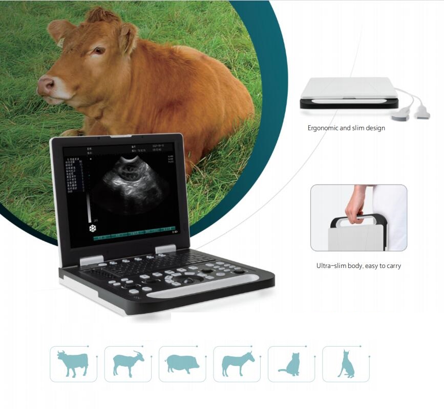 2 Antarmuka Probe Pemindai Ultrasound Hewan Digital Penuh 15 Inci CBV-RS-N50