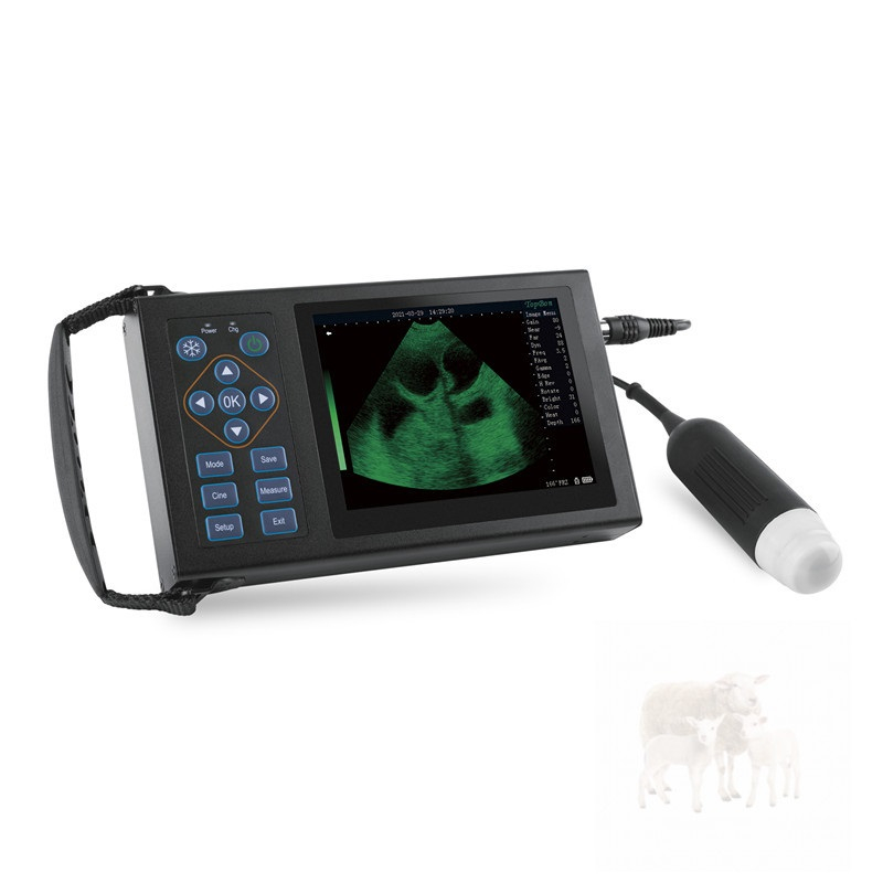 Pemindai Ultrasound Kehamilan Hewan Hewan Mekanik Genggam CBV-M10