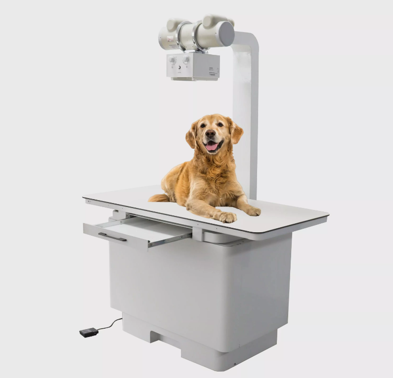 Mesin X-Ray Veterinary Cupabear