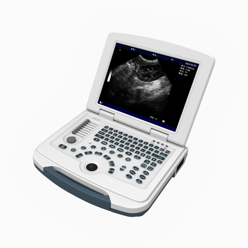 Menjelajahi keserbagunaan perangkat ultrasound veteriner portabel